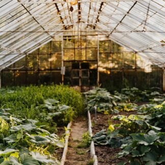 Heavy Duty Green Shade Net